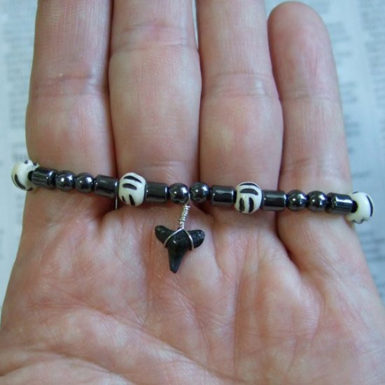 【表示現品】サメの歯化石　ビーズ ブレスレット - 30302zhb