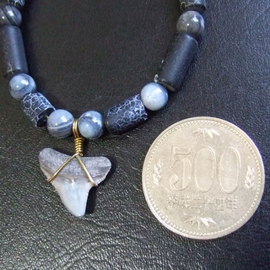 【表示現品】サメの歯化石　ビーズ ブレスレット - 30303zhb