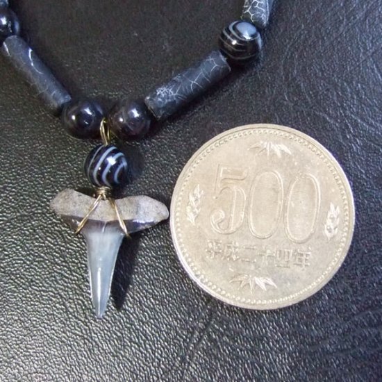 【表示現品】サメの歯化石　ビーズ ブレスレット - 30304zhb