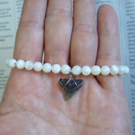 【表示現品】サメの歯化石　ビーズ ブレスレット - 30308zhb