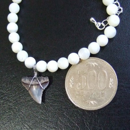 【表示現品】サメの歯化石　ビーズ ブレスレット - 30308zhb