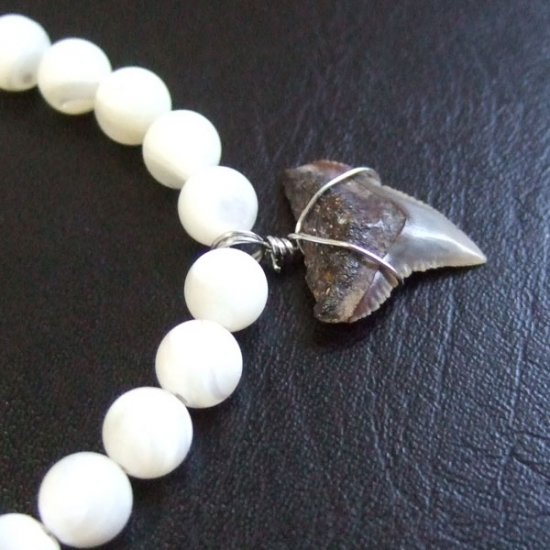 【表示現品】サメの歯化石　ビーズ ブレスレット - 30308zhb