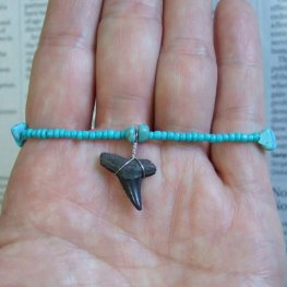 【表示現品】サメの歯化石 ビーズ ブレスレット - 30309zhb 【表示現品】サメの歯化石 ビーズ ブレスレット - 30309zhb