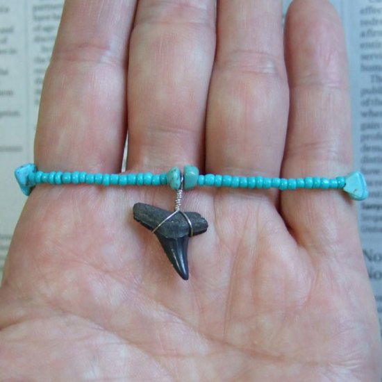 【表示現品】サメの歯化石　ビーズ ブレスレット - 30309zhb