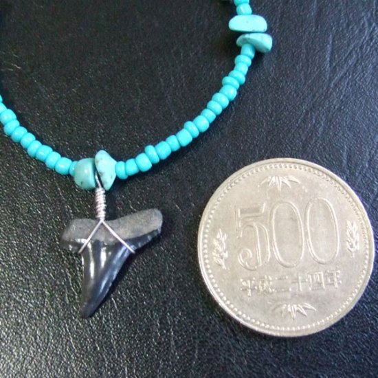 【表示現品】サメの歯化石　ビーズ ブレスレット - 30309zhb