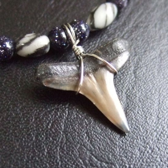 【表示現品】ニシレモンザメの歯の化石　ビーズブレスレット - 30298zhb