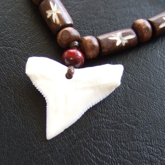 【現品】本物のサメの歯（ブル・シャーク）ネックレス - b20557zhb