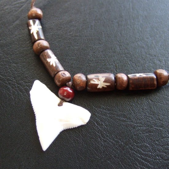 【現品】本物のサメの歯（ブル・シャーク）ネックレス - b20557zhb