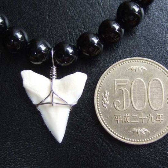【表示現品】オオメジロザメの歯　ビーズブレスレット - BLB-13025