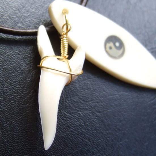 【表示現品】アオザメの歯サーフボードネックレストップ - BLN-12002