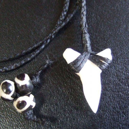 【表示現品】本物のサメの歯（ブル・シャーク）ネックレス - BLN-12031