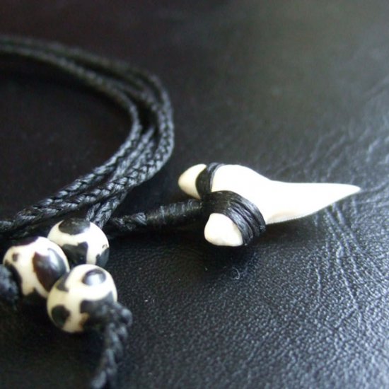 【表示現品】本物のサメの歯（ブル・シャーク）ネックレス - BLN-12031