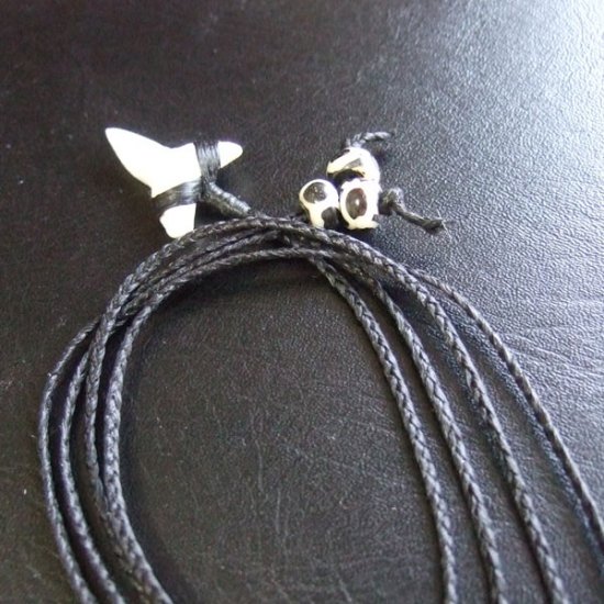 【表示現品】本物のサメの歯（ブル・シャーク）ネックレス - BLN-12031