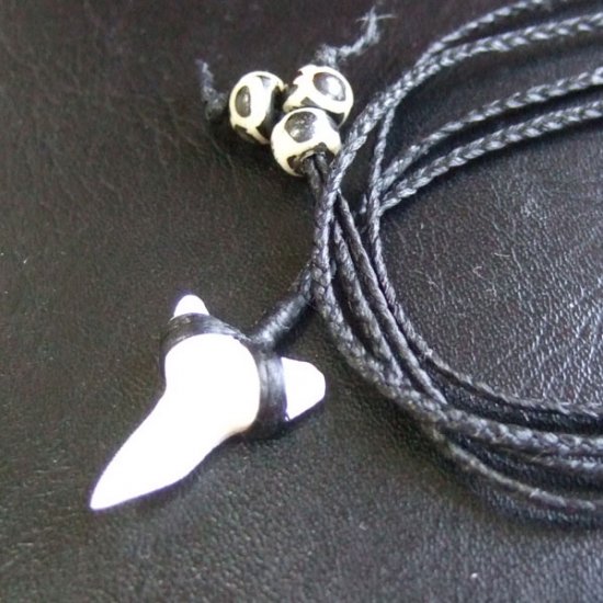 【表示現品】本物のサメの歯（ブル・シャーク）ネックレス - BLN-12031