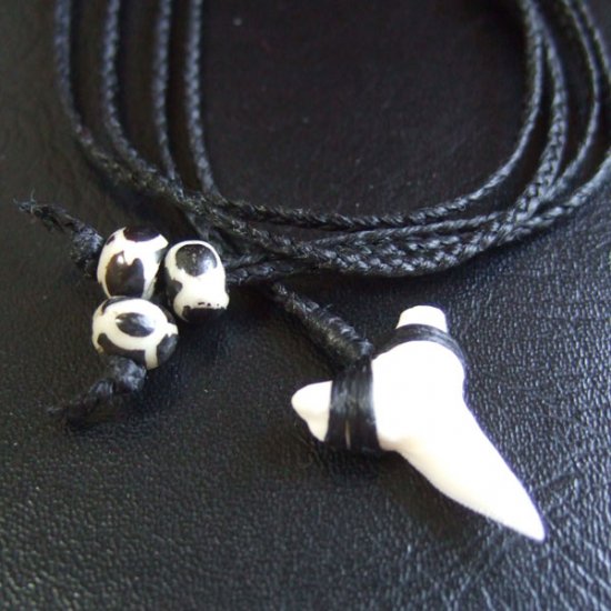 【表示現品】本物のサメの歯（ブル・シャーク）ネックレス - BLN-12031