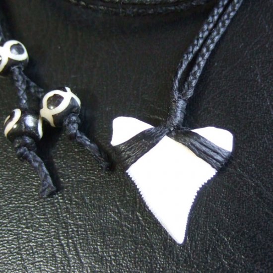 【表示現品】本物のサメの歯（ブル・シャーク）ネックレス - BLN-12032