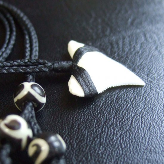 【表示現品】本物のサメの歯（ブル・シャーク）ネックレス - BLN-12032