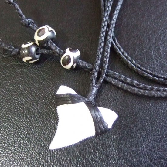 【表示現品】本物のサメの歯（ブル・シャーク）ネックレス - BLN-12032