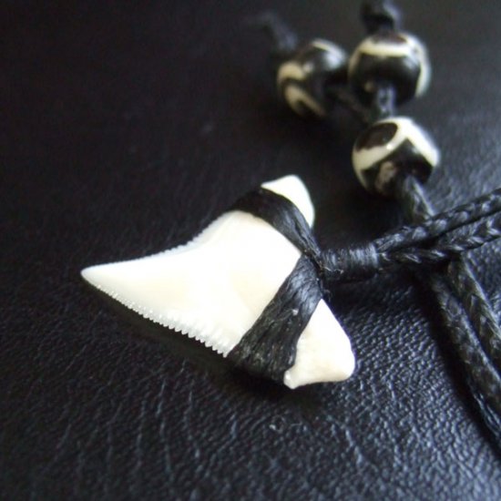 【表示現品】本物のサメの歯（ブル・シャーク）ネックレス - BLN-12032