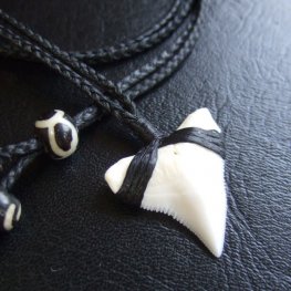 【表示現品】本物のサメの歯（ブル・シャーク）ネックレス - BLN-12032