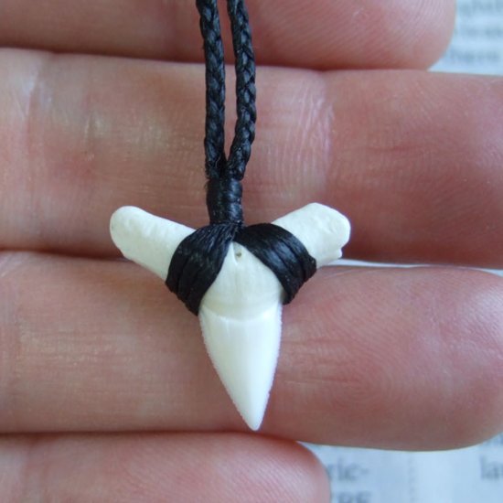 【表示現品】本物のサメの歯（ブル・シャーク）ネックレス - BLN-12033