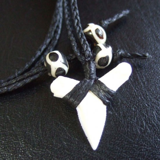 【表示現品】本物のサメの歯（ブル・シャーク）ネックレス - BLN-12033