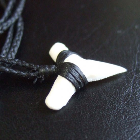 【表示現品】本物のサメの歯（ブル・シャーク）ネックレス - BLN-12033