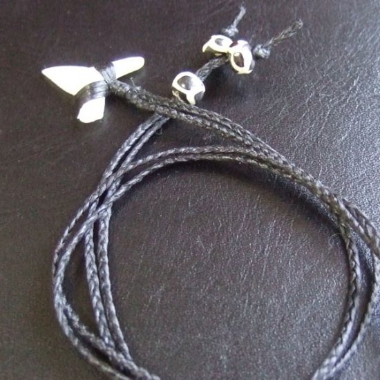 【表示現品】本物のサメの歯（ブル・シャーク）ネックレス - BLN-12033