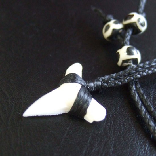 【表示現品】本物のサメの歯（ブル・シャーク）ネックレス - BLN-12033