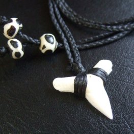 【表示現品】本物のサメの歯（ブル・シャーク）ネックレス - BLN-12033
