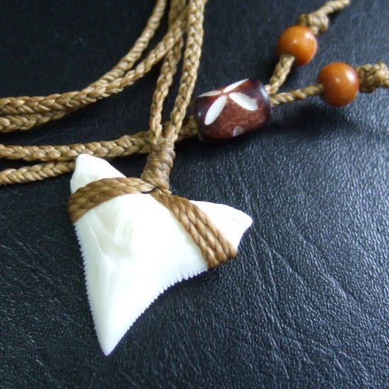 【表示現品】2.5.cm 大型オオメジロザメの歯ペンダント - BLN-12041