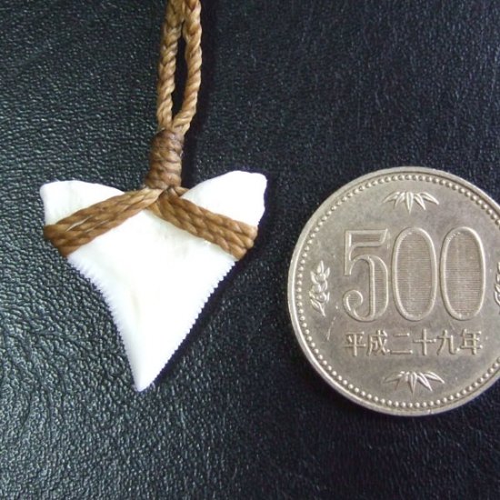 【表示現品】2.5.cm 大型オオメジロザメの歯ペンダント - BLN-12041