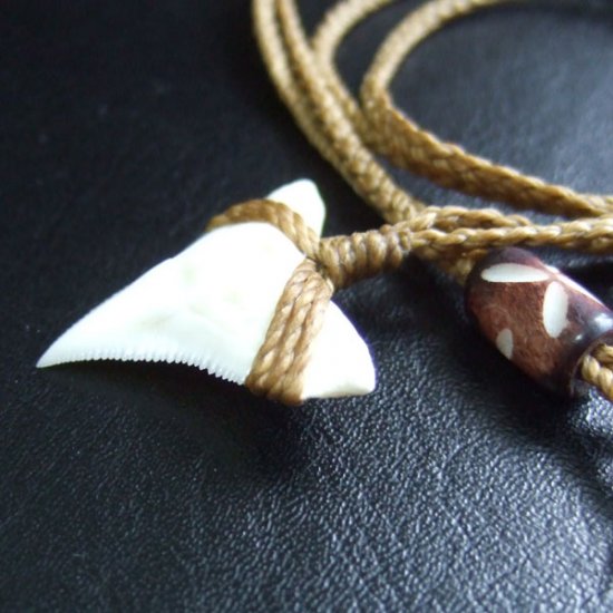 【表示現品】2.5.cm 大型オオメジロザメの歯ペンダント - BLN-12041