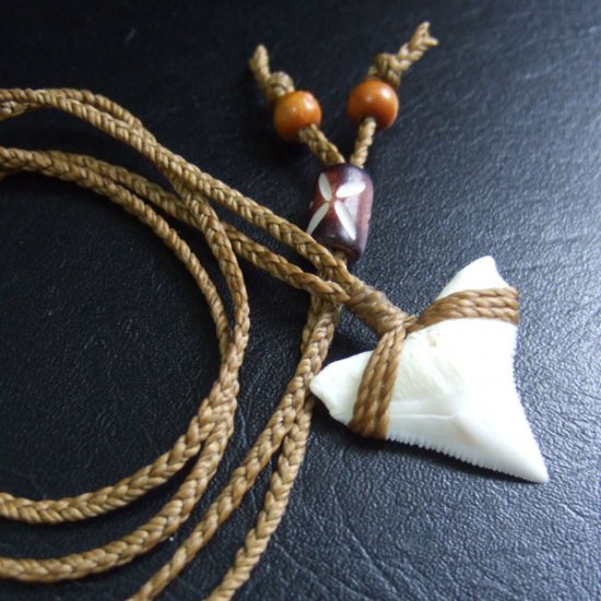 【表示現品】2.5.cm 大型オオメジロザメの歯ペンダント - BLN-12041