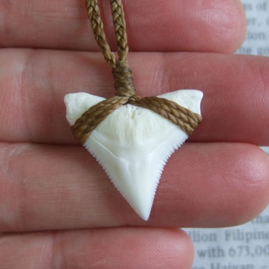 【表示現品】2.5.cm 大型オオメジロザメの歯ペンダント - BLN-12041
