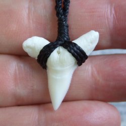 【表示現品】2.4.cm 大型オオメジロザメの歯ペンダント - BLN-12045