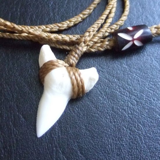 【表示現品】2.5.cm 大型オオメジロザメの歯ペンダント - BLN-12046