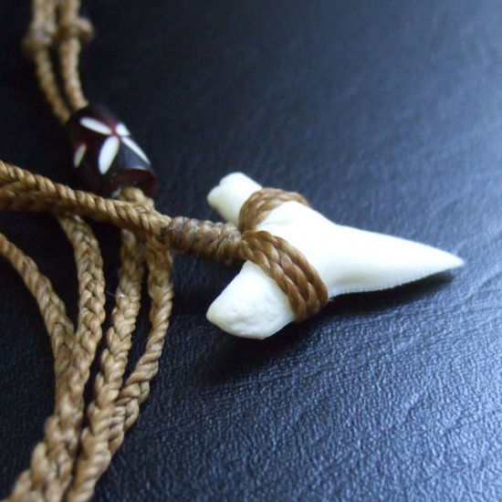 【表示現品】2.5.cm 大型オオメジロザメの歯ペンダント - BLN-12046