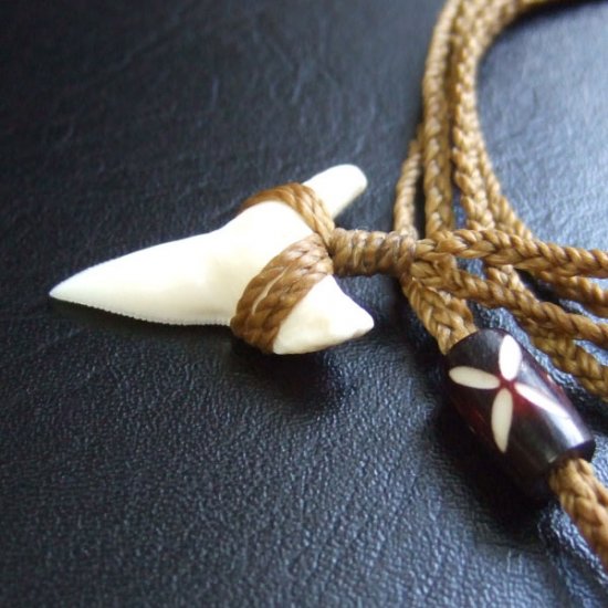 【表示現品】2.5.cm 大型オオメジロザメの歯ペンダント - BLN-12046