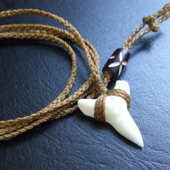 【表示現品】2.5.cm 大型オオメジロザメの歯ペンダント - BLN-12046