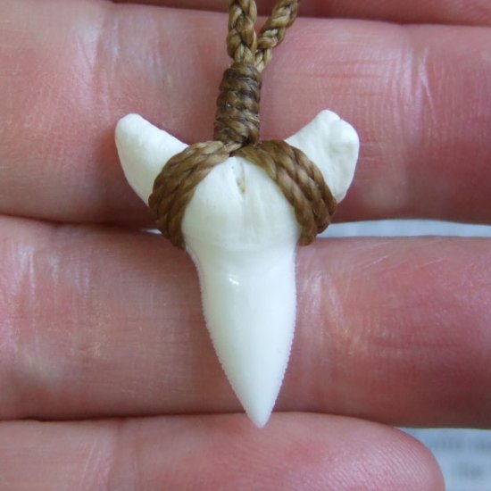 【表示現品】2.5.cm 大型オオメジロザメの歯ペンダント - BLN-12046