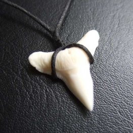 【表示現品】2.4.cm 大型オオメジロザメの歯ペンダント - BLN-12059  【表示現品】2.4.cm 大型オオメジロザメの歯ペンダント - BLN-12059