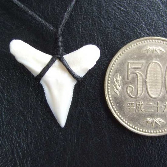 【表示現品】2.4.cm 大型オオメジロザメの歯ペンダント - BLN-12059