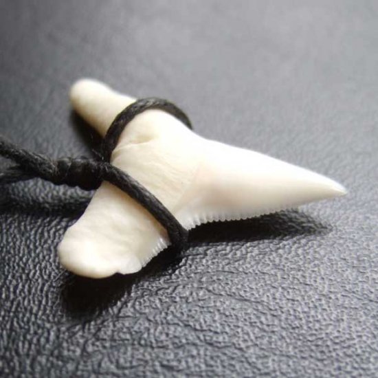 【表示現品】2.4.cm 大型オオメジロザメの歯ペンダント - BLN-12059