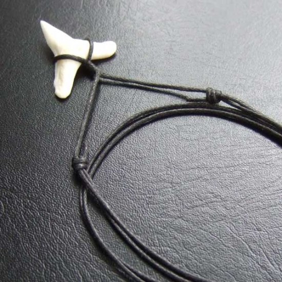 【表示現品】2.4.cm 大型オオメジロザメの歯ペンダント - BLN-12059