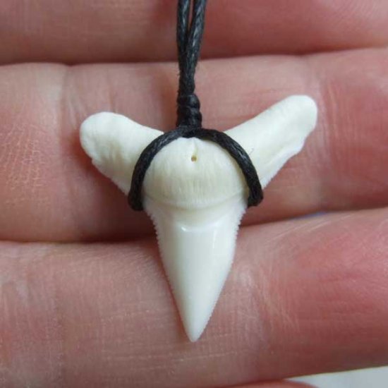 【表示現品】2.4.cm 大型オオメジロザメの歯ペンダント - BLN-12059