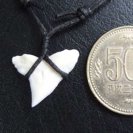 【表示現品】1.9cm 大型オオメジロザメの歯ペンダント - BLN-12060