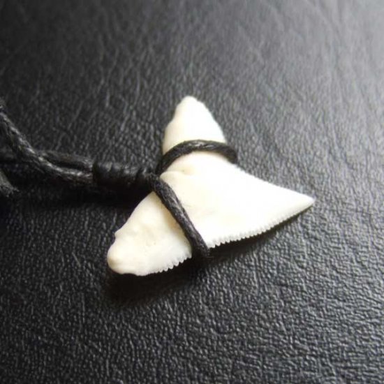 【表示現品】1.9cm 大型オオメジロザメの歯ペンダント - BLN-12060