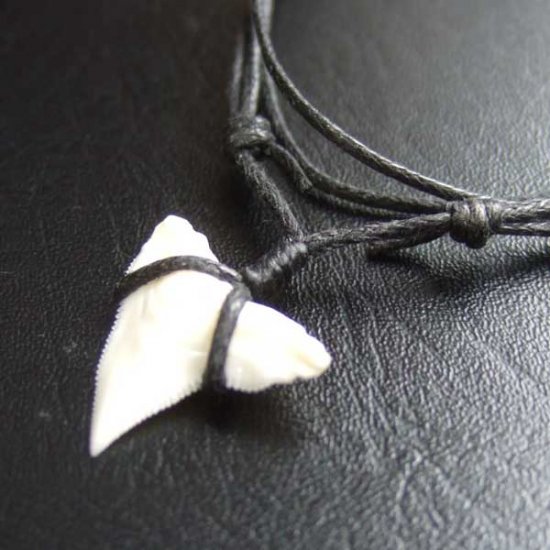 【表示現品】1.9cm 大型オオメジロザメの歯ペンダント - BLN-12060