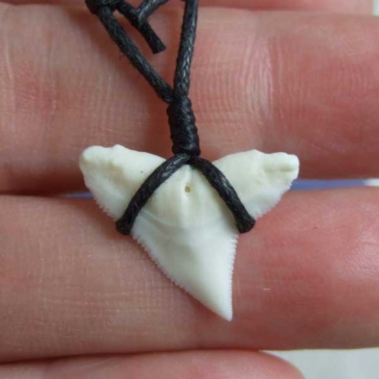 【表示現品】1.9cm 大型オオメジロザメの歯ペンダント - BLN-12060